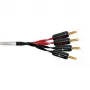 Акустический кабель Wireworld Luna 8 Biwire Speaker Cable 2.0m Pair (BAN-BAN) 2.0 кв.мм